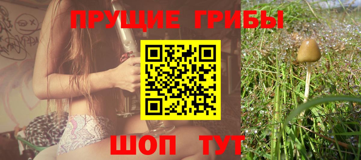 купить   Вход с VPN  Острогожск  Галлюциногенные грибы MAGIC MUSHROOMS 