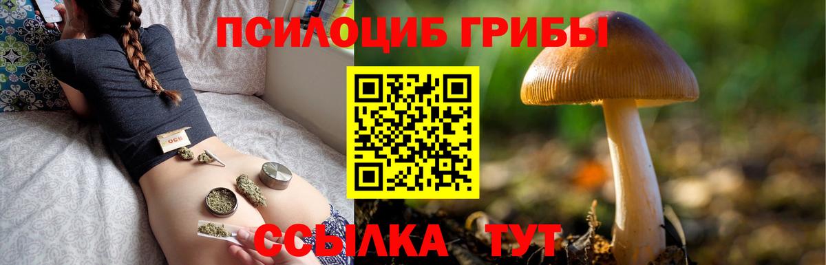 Галлюциногенные грибы мицелий Острогожск